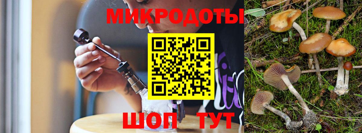 Псилоцибиновые грибы Psilocybe Киржач